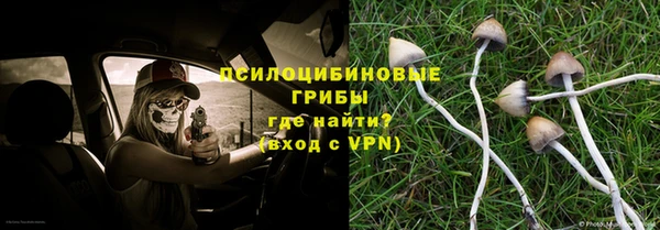 PSILOCYBIN Арсеньев