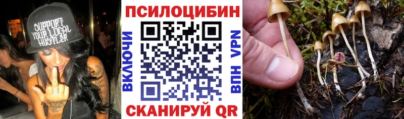 Галлюциногенные грибы MAGIC MUSHROOMS  ОМГ ОМГ вход  Весьегонск 