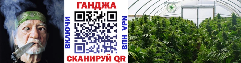 OMG ссылки  как найти закладки  Весьегонск  Канабис индика 